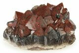 Thunder Bay Amethyst Cluster with Hematite - Canada #281243-1